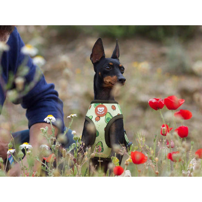 Arnês reversível para cães Dukier Avocado
