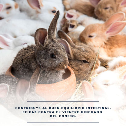 CuniDigest  – Complemento nutricional líquido (250ml) para conejos – Apoyo digestivo en periodos sensibles_2