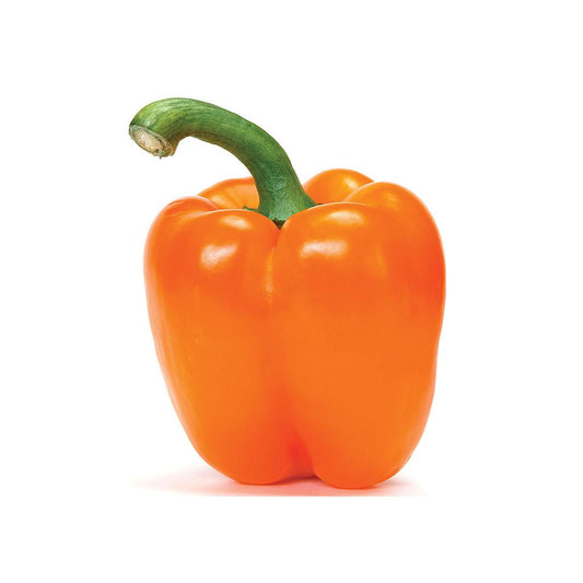 Pimiento California Naranja M11 (capsicum Annuum)_0