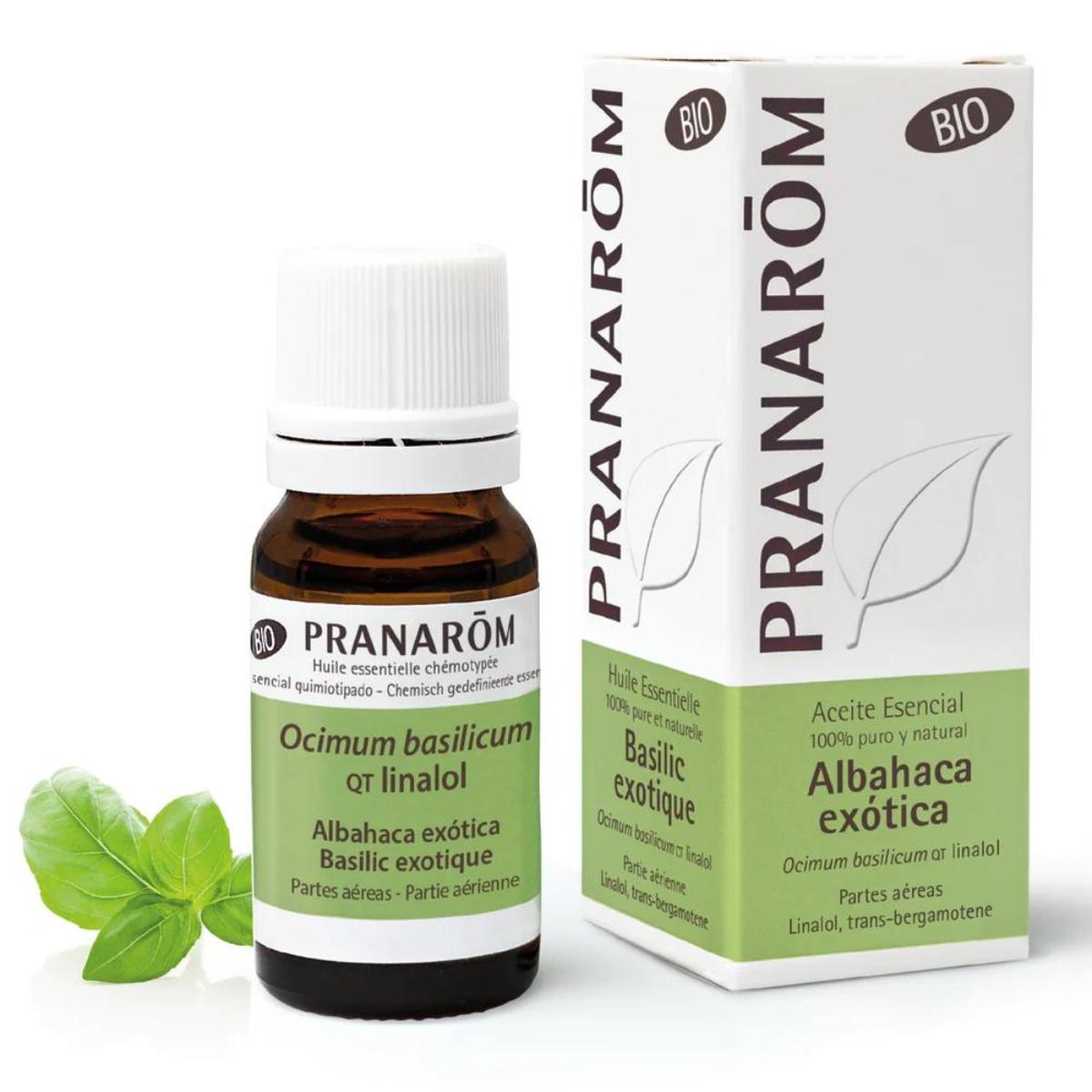 Óleo essencial de manjericão exótico biológico, Pranarom 10 ml