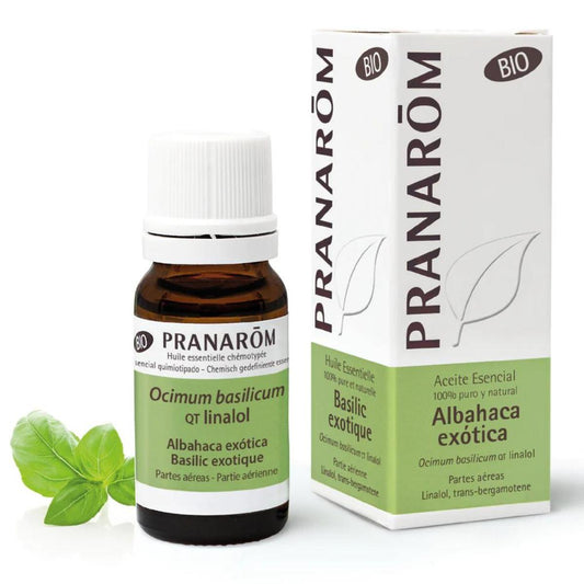 Óleo essencial de manjericão exótico biológico, Pranarom 10 ml