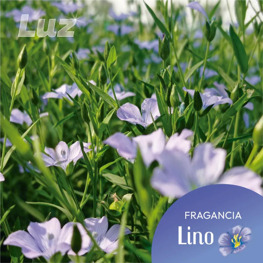Detergente Ecológico para Roupa em Tiras Leve 40 lavagens