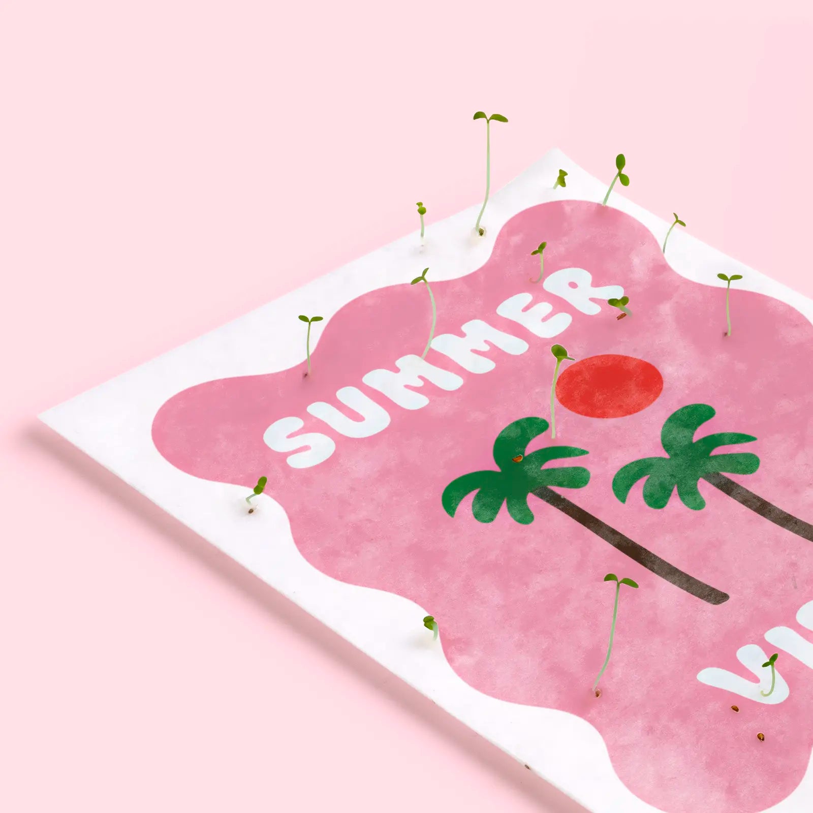 Postal Plantable - Summer Vibes_2