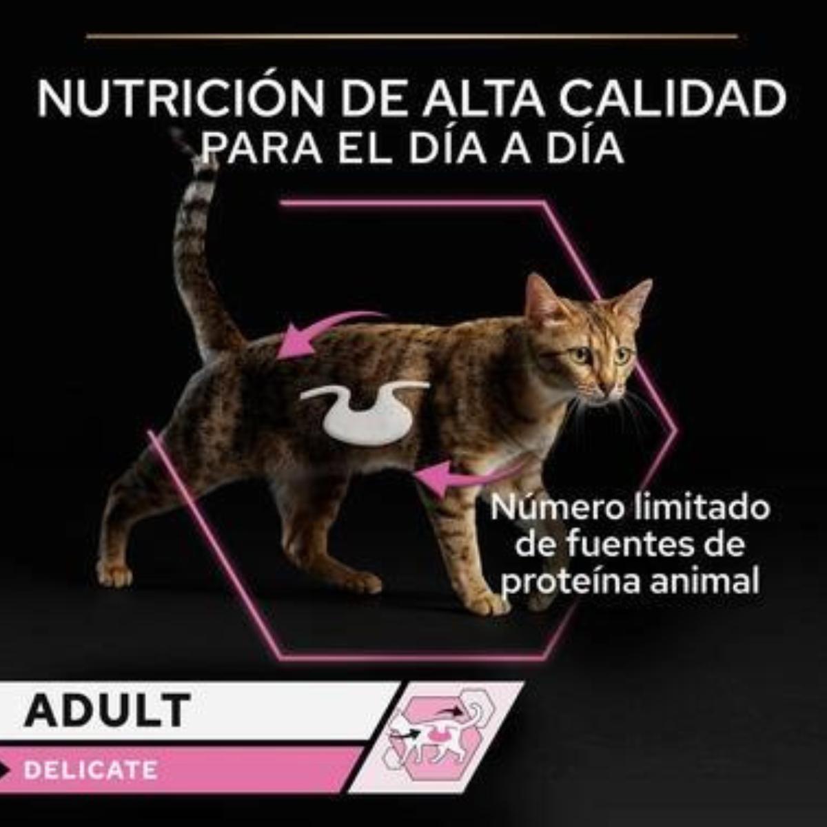 Pro Plan gato adulto Delicate Mousse rico em peru Purina 85g