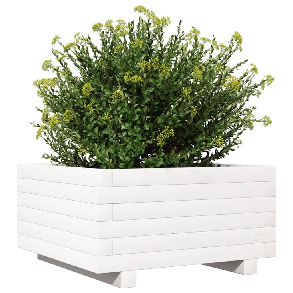 Jardinera De Madera Maciza De Pino Blanco 50x50x26,5 Cm_3