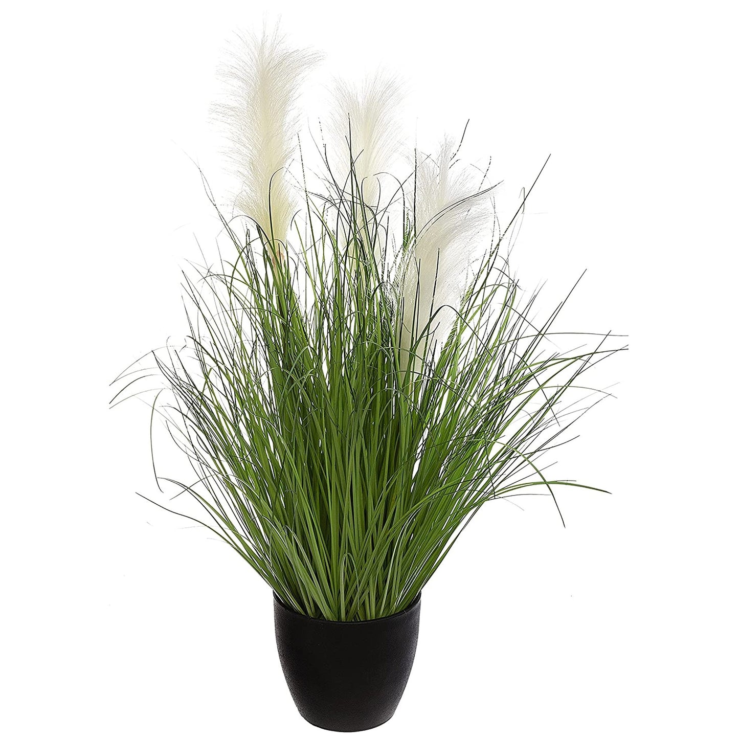 Ramo De Hierba En Maceta De Plástico