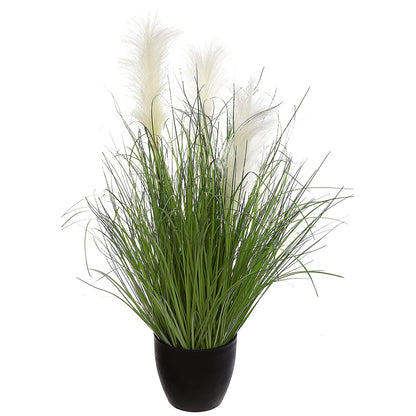 Ramo De Hierba En Maceta De Plástico