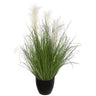 Buquê De Grama Em Vaso De Plástico