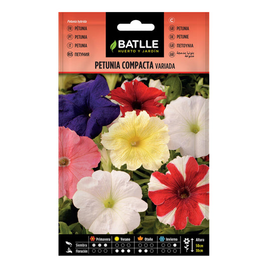 Sementes de Petúnia Compacta Variegada Batlle