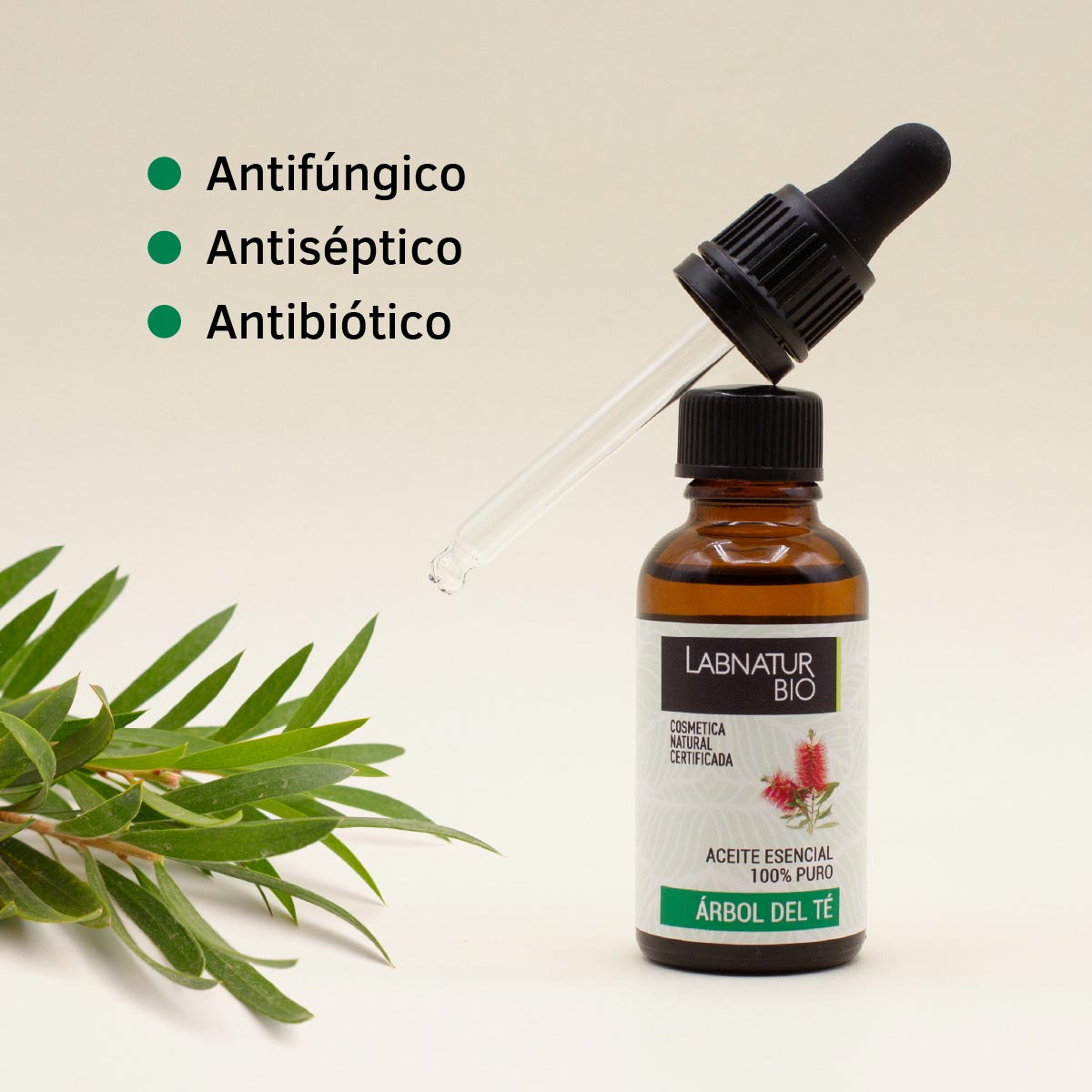 Aceite de Árbol Del Té 100% Puro | Antibacteriano Natural | Purificante Piel y Cuero Cabelludo | Uso Facial y Capilar_2