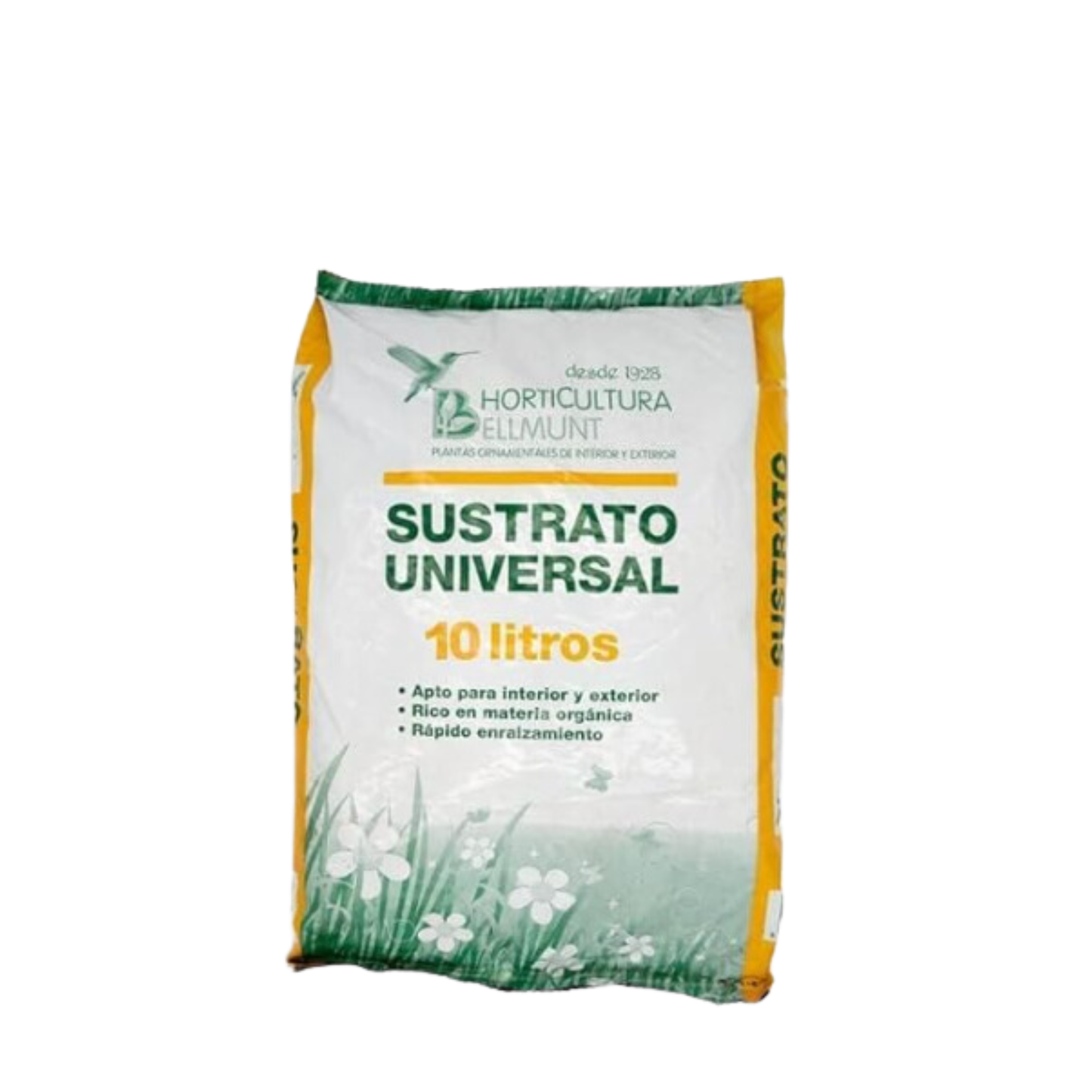 Pack 2 Plantas Sansevieria Interior Maceta Ø12cm + Incluye Saco 10l Sustrato Universal + Fertilizante Plantas 500 Ml_1
