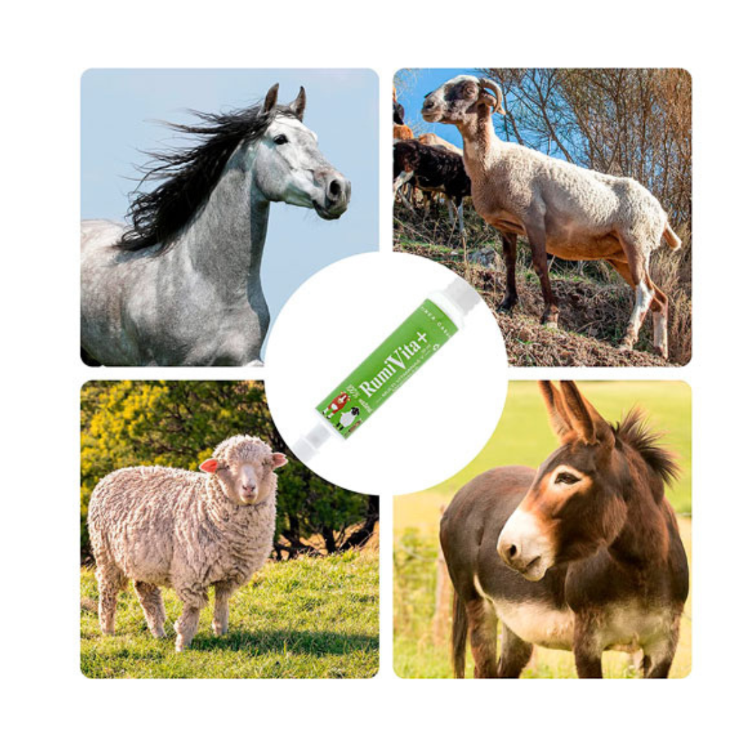 RumiVita – Complemento nutricional en pasta para cabras y ovejas – Apoyo vitamínico-mineral – Formato jeringa oral 30 ml_1