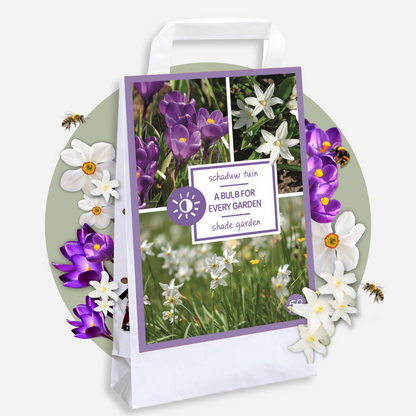 Caja Jardín Sombrío - 50 Bulbos Para Sombra & Semisombra_4