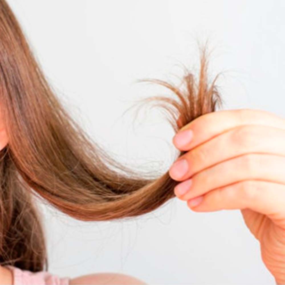 Pack 2 Champú Sólido para Cabello Fino - 100% Natural - Aporta Volumen, Brillo y Suavidad - Con Manteca y Polvo de Cacao_1