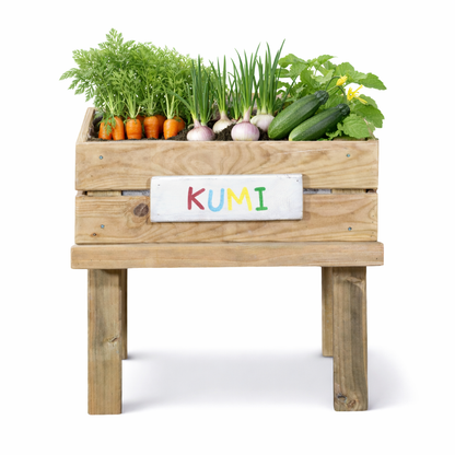 Mesa De Cultivo Infantil De Madera Con Kit De Cultivo Ecológicas| Vidahuerto_3