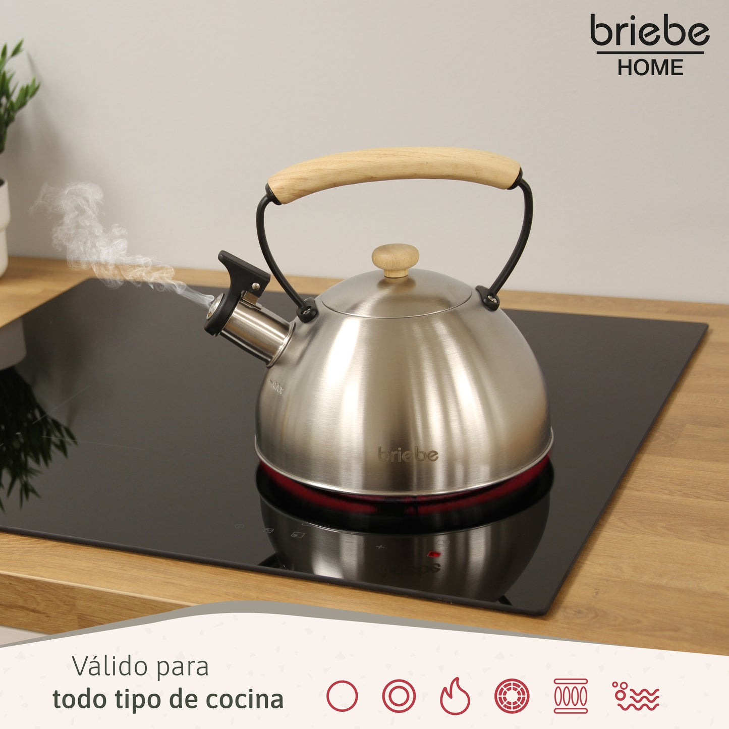 Briebe Tetera Con Silbato, Hervidor De Agua 2,3l, Inducción, Acero Inox, Vintage, Mango Madera, Wooden, Acero Inox_2