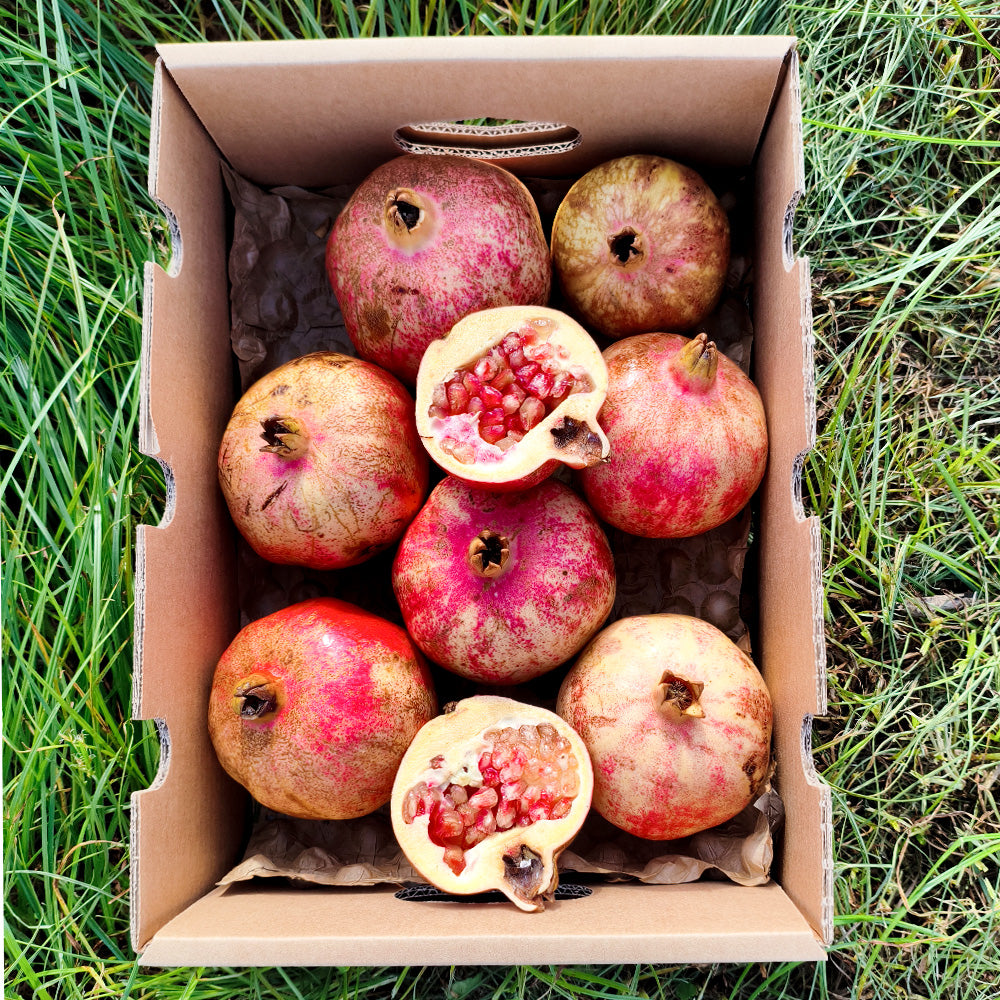 Caja 10kg Granada Fruta Fresca_4