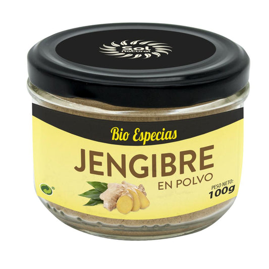 Gengibre em pó biológico Sol Natural 100 g