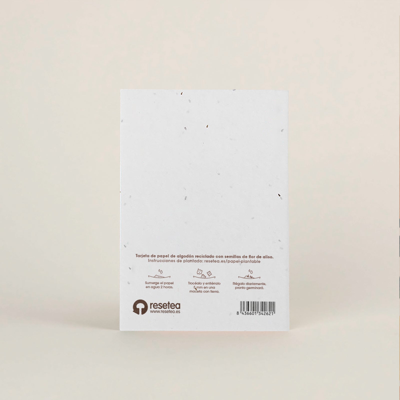 Postal Plantable Gracias Con Semillas De Manzanilla – Regalo Original Para Agradecer De Corazón | Resetea_1