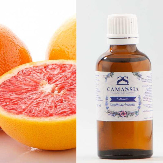 Extrato de semente de toranja Camassia
