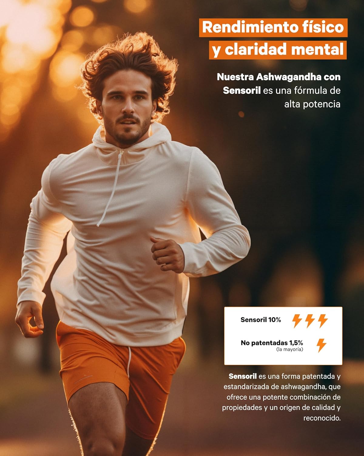 Ashwagandha Sensoril Adaptógeno Para Estrés Y Sueño Nutribrain 120 Cápsulas_2