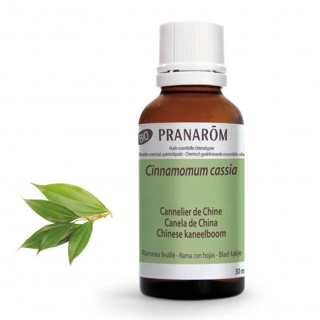 Óleo essencial de canela chinesa com folhas Pranarom 30 ml
