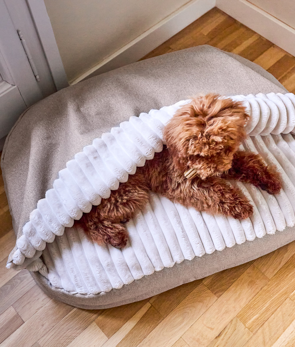 Cafide Cama Con Capucha Para Perro Con Tejido Chenilla Beige. Modelo Maso. Talla M (60x80x10 Cm)_1