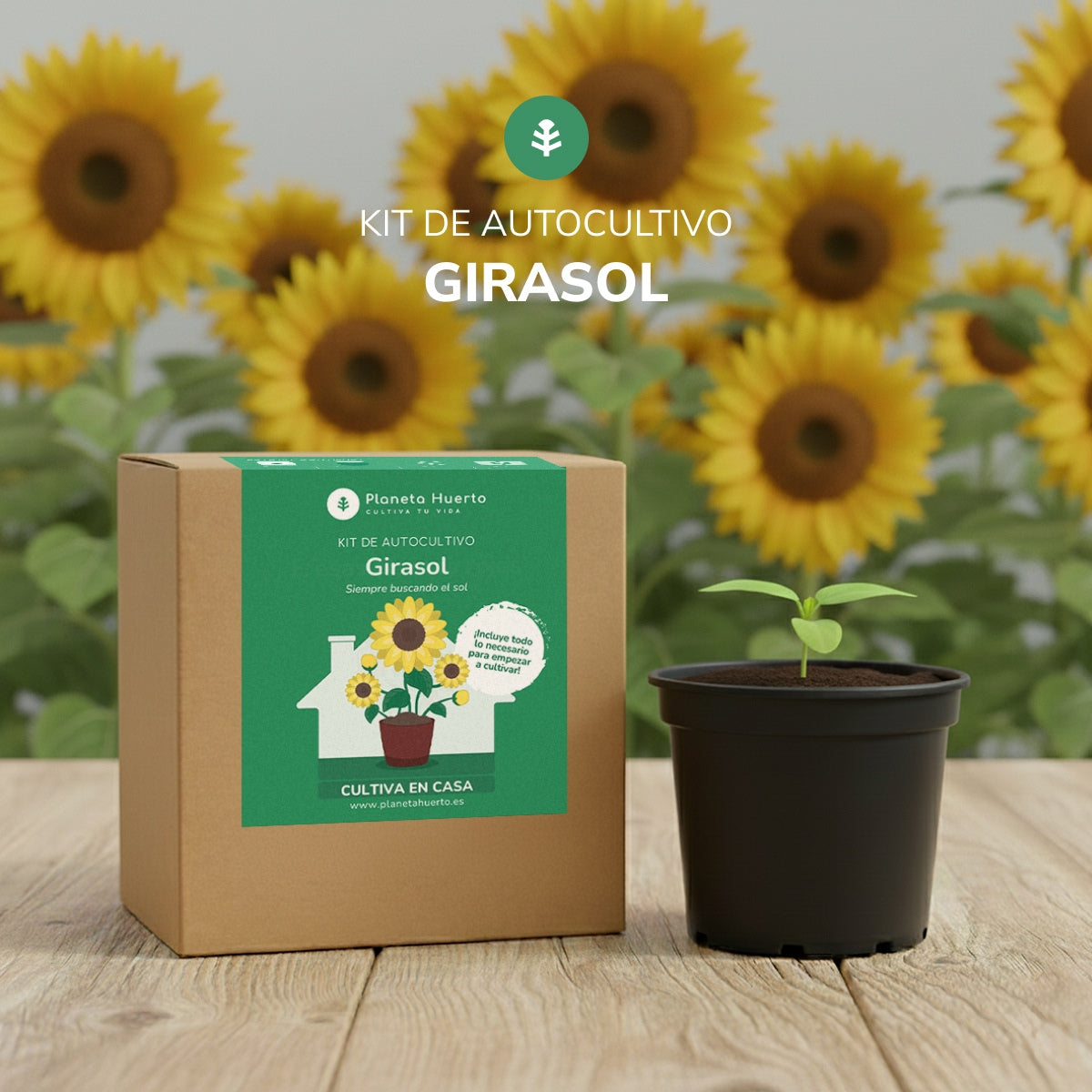 Kit de autocultivo girassol Planeta Huerto