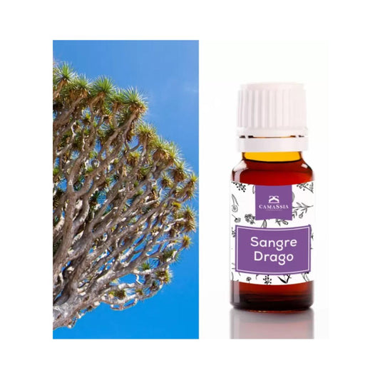 Sangue de Dragão (Sangre de Grado), 10ml. Camassia