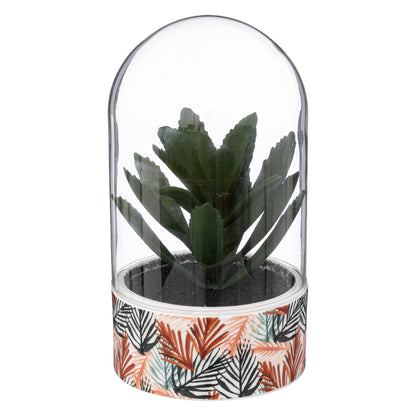 Planta ali Cloche H21cm