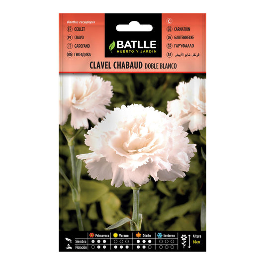 Sementes de Cravo Branco Duplo Batlle Chabaud