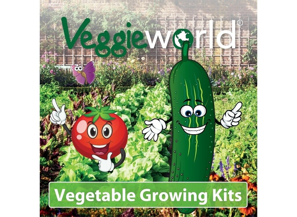Kit Completo Hortalizas M10_2