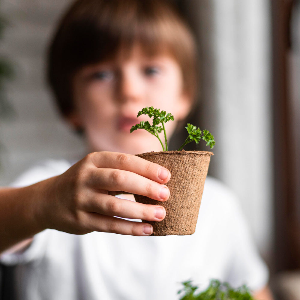 Mis Primeros Cultivos - Pack 3 Kits Fresa, Albahaca y Flores | Montessori y Stem - Resetea_5