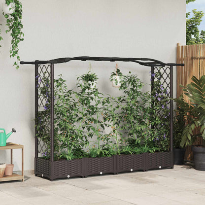 Cama Elevada Con Trellis Y Techo Marrón 207 X 40 X 123 Cm Pp_1