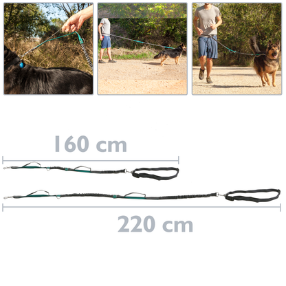 Correa Ajustable Para Perros De Jogging 160-220 Cm. Correa Manos Libres Elástica Y Reflectante Con Cinturón_1