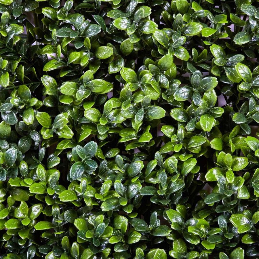 Jardim vertical artificial Buxus Nortene 1x1 m