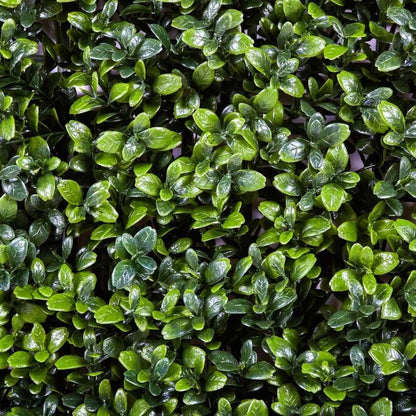 Jardim vertical artificial Buxus Nortene 1x1 m