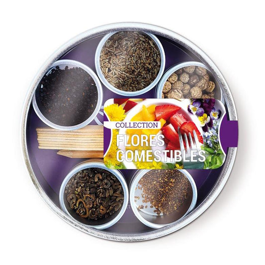 Coleção de sementes de flores comestíveis