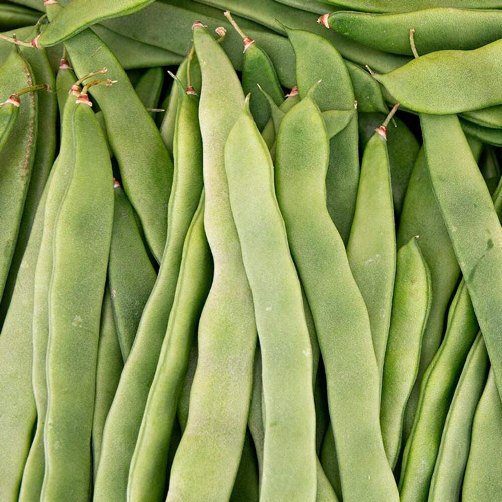 Judía Verde Helda 1,5kg Granada La Palma_4