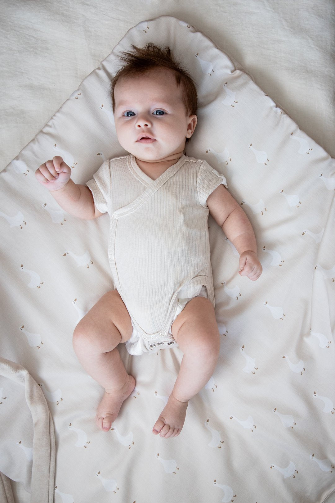 Saco Capazo Bebé Velour Goose_1