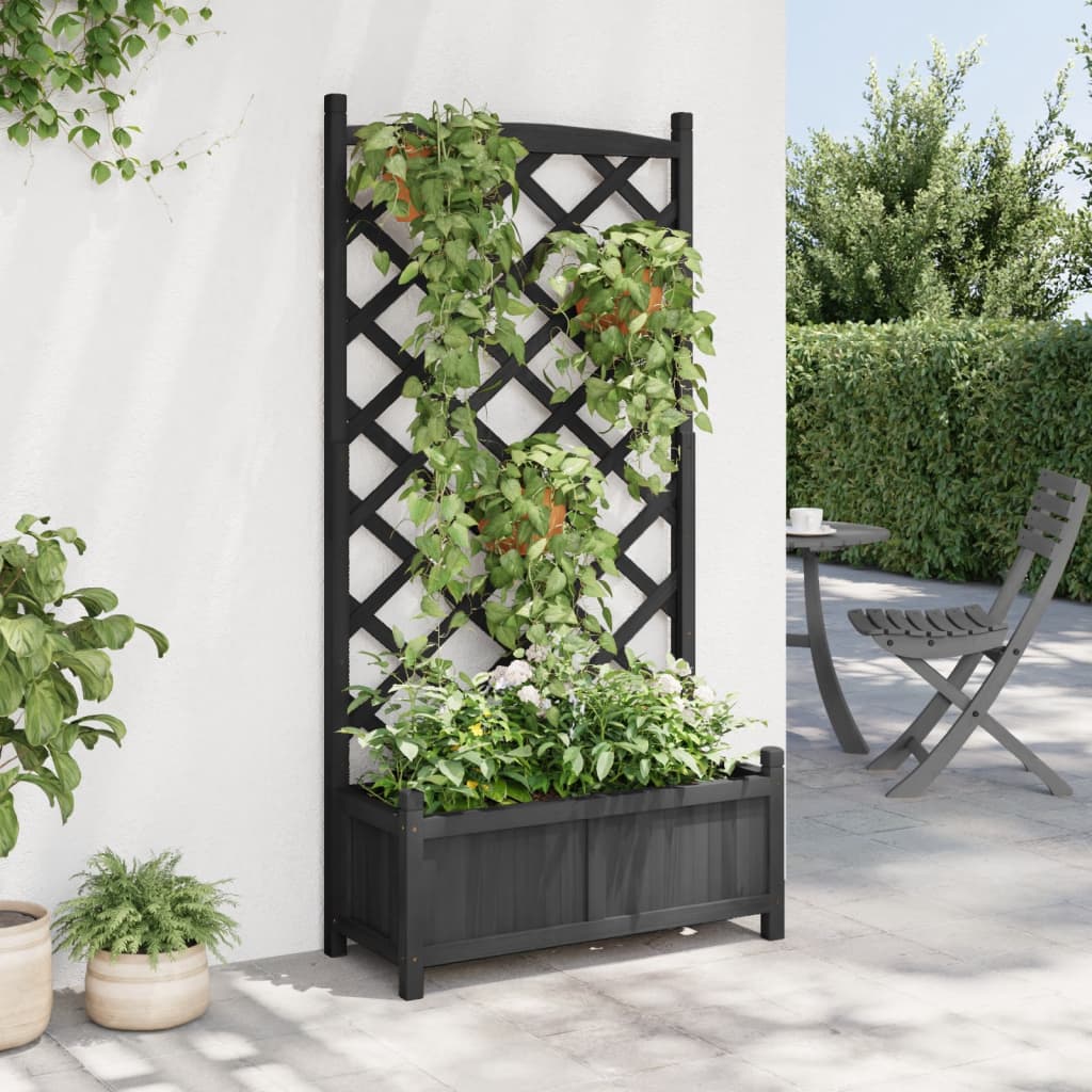 Jardinera Con Enrejado Negro 75x35x150 Cm Madera Maciza De Abeto_2