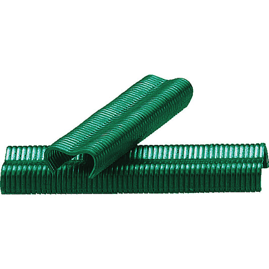 Grapas Verdes Para Enrejados - 20 Mm - 960 Uds._0