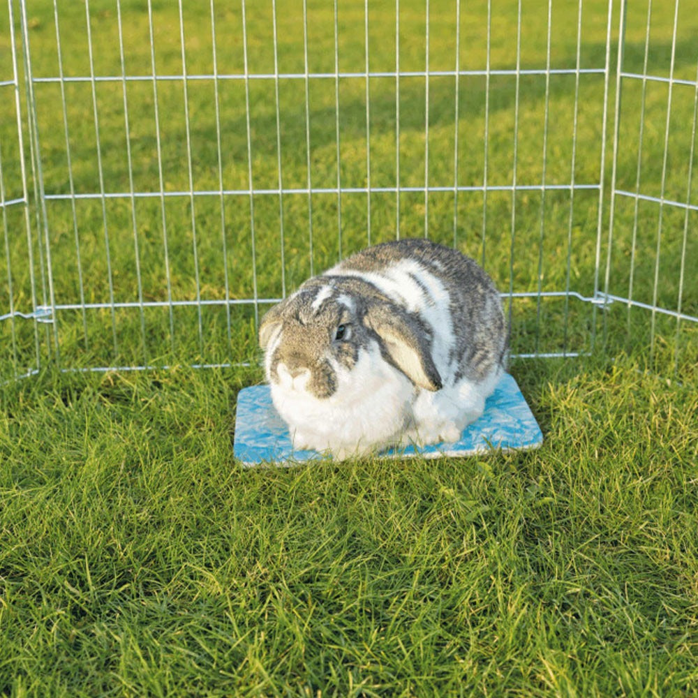 Alfombrilla Refrescante Azul Trixie 35 × 25 cm