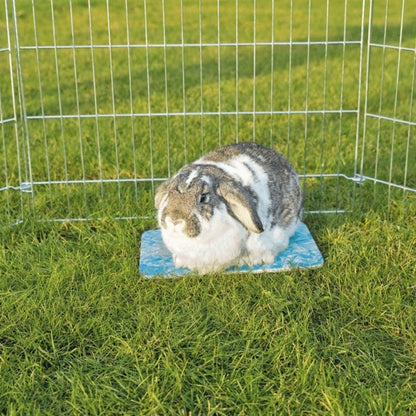 Alfombrilla Refrescante Azul Trixie 35 × 25 cm