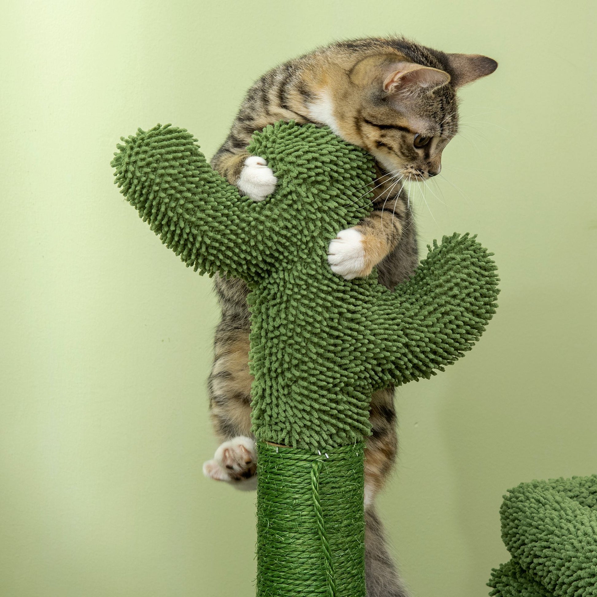 Pawhut Árbol Rascador De Cactus Para Gatos Altura Con Cama Caseta Poste Bola_3