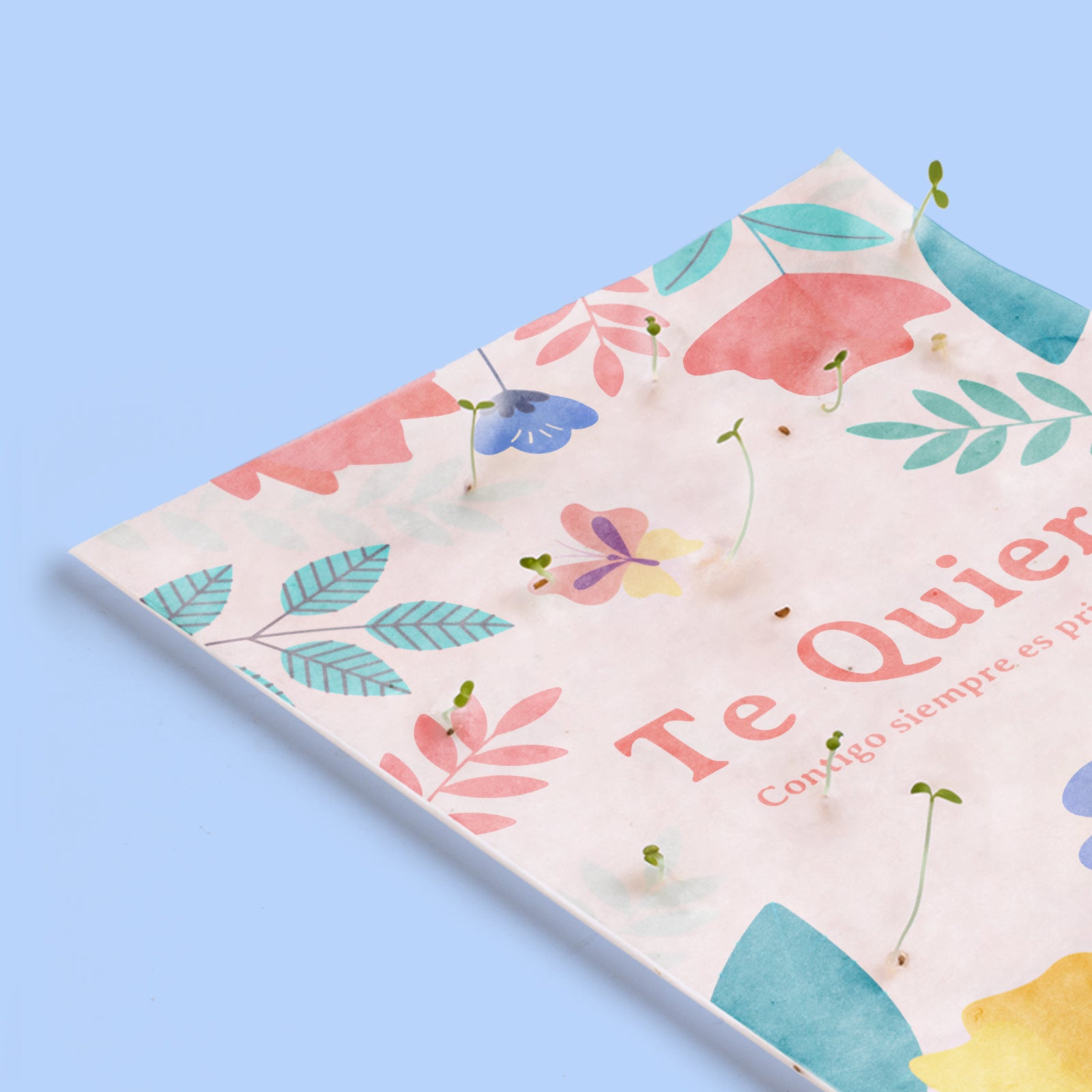 Postal Plantable Te Quiero con Semillas de Flor de Aliso – Regalo Romántico Original - Resetea_2