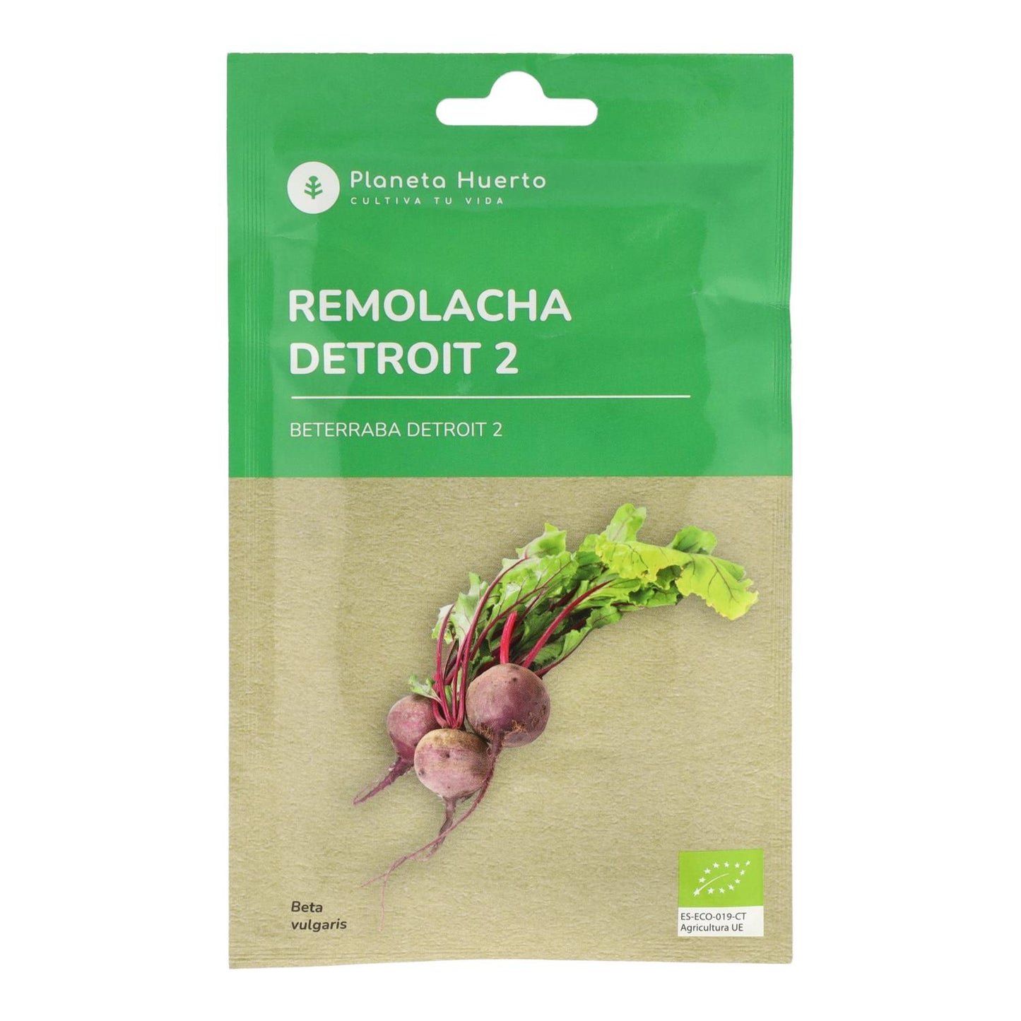 Sementes de beterraba biológicas Detroit 2 Planet Garden