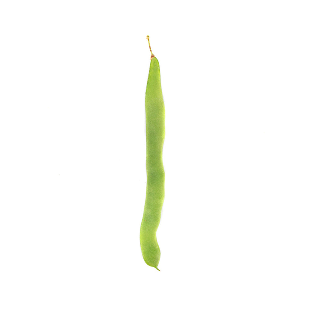 Judía Verde Helda 1,5kg Granada La Palma_2