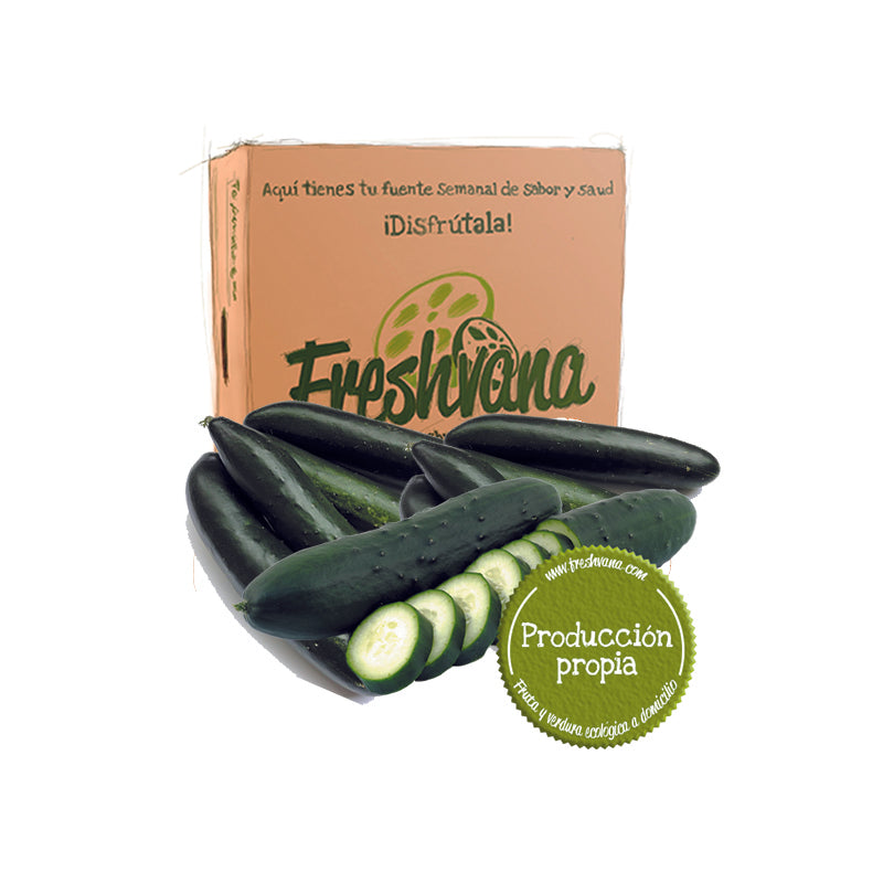 Caja De Pepino Francés Ecológico Freshvana 6 Kg_0
