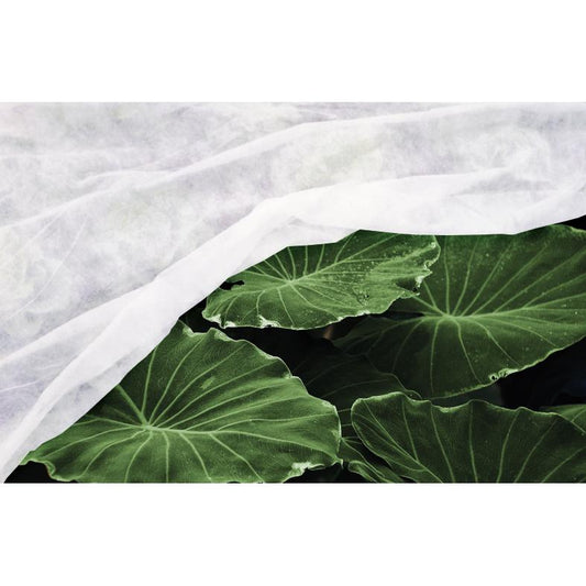 Véu de inverno anticongelante Visa Garden 2 x 10 m
